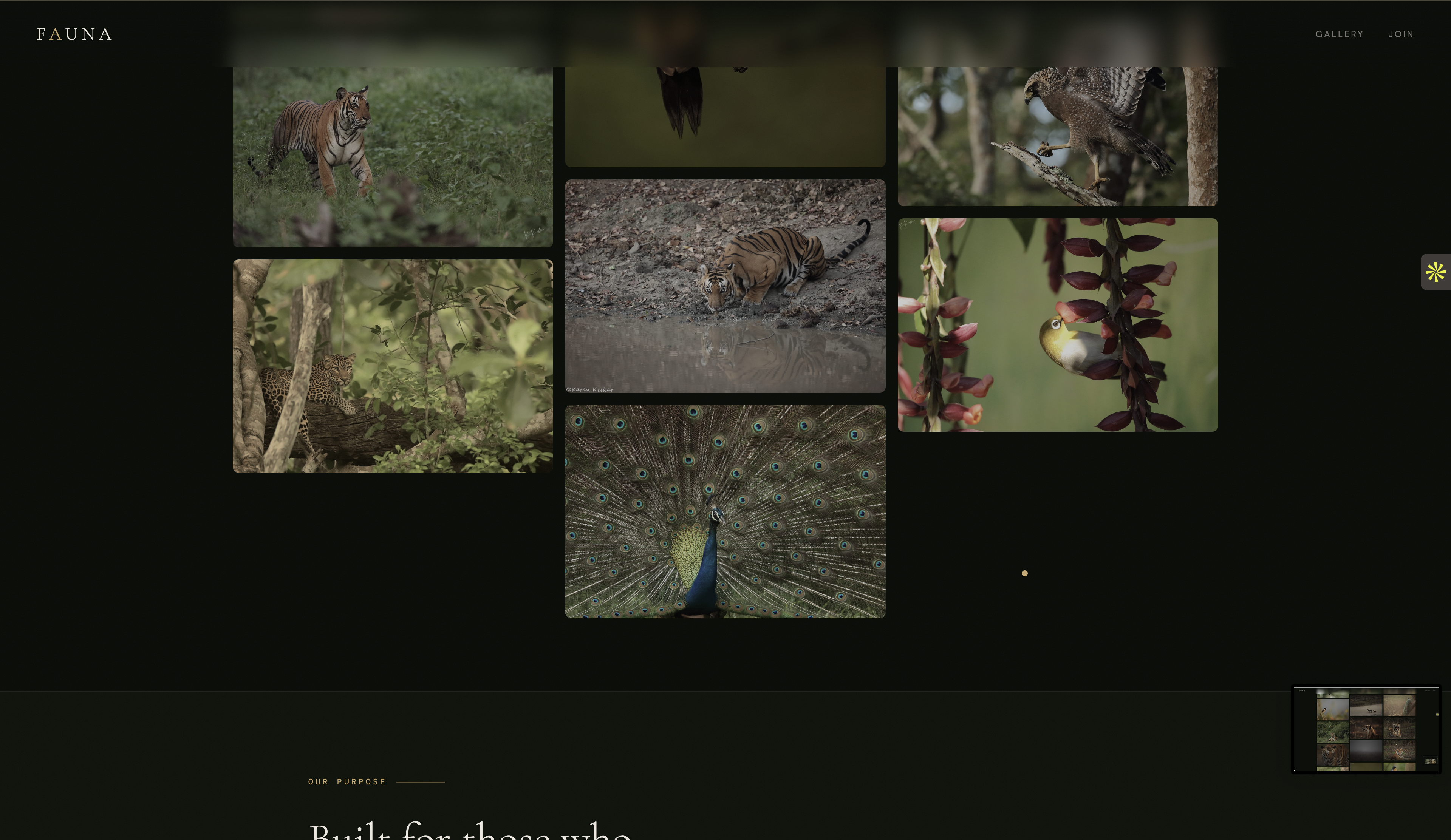 Fauna - Wildlife Social Media - Image5